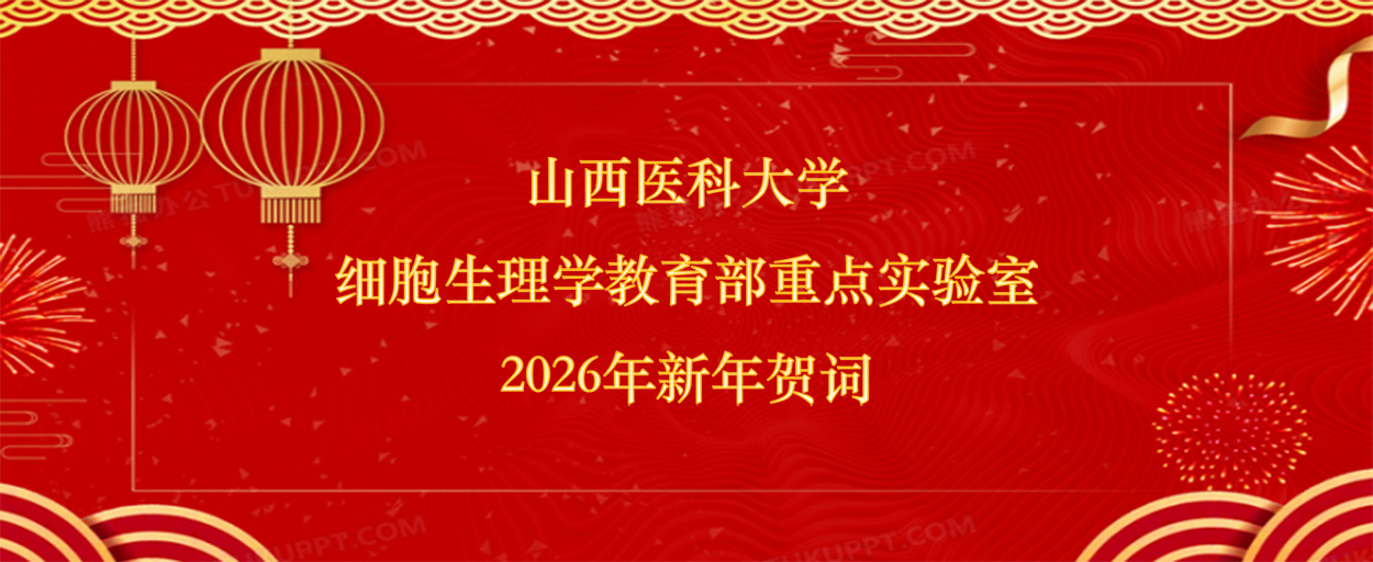 轮播图片