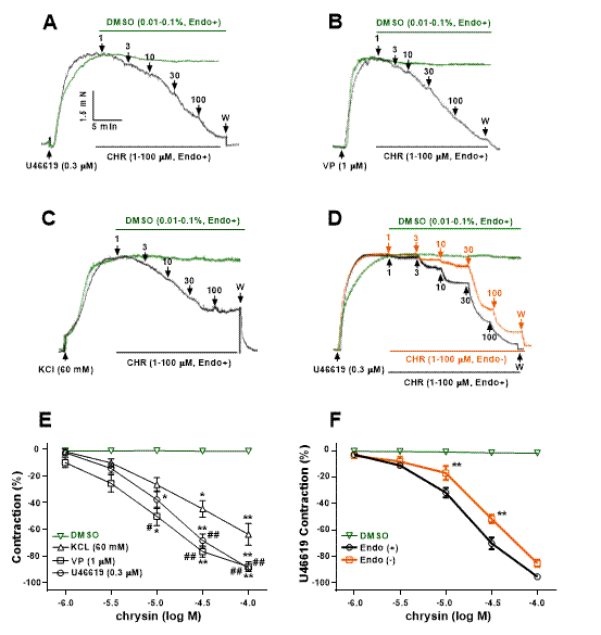 chrysin vasodilation