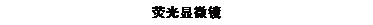 文本框: 荧光显微镜 