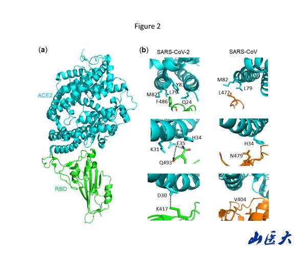 http://www.sxmu.edu.cn/__local/8/9D/66/EF190BC8BF7AA9A4B31F72FEC98_1EB03808_A74C.jpg