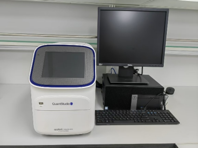 实时荧光定量PCR